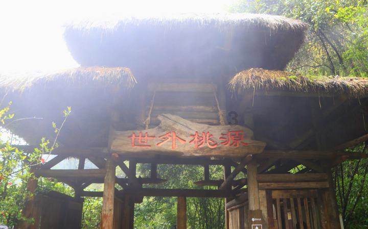 燃烧吧大脑免广告最新版